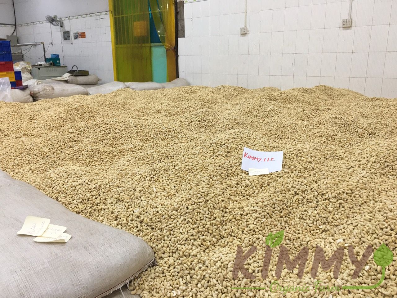 Vietnam W320 Cashew Nut White Whole Cashews High-Quality Ready For Export - Raw image of W320 From Our Cashew Factory!-10