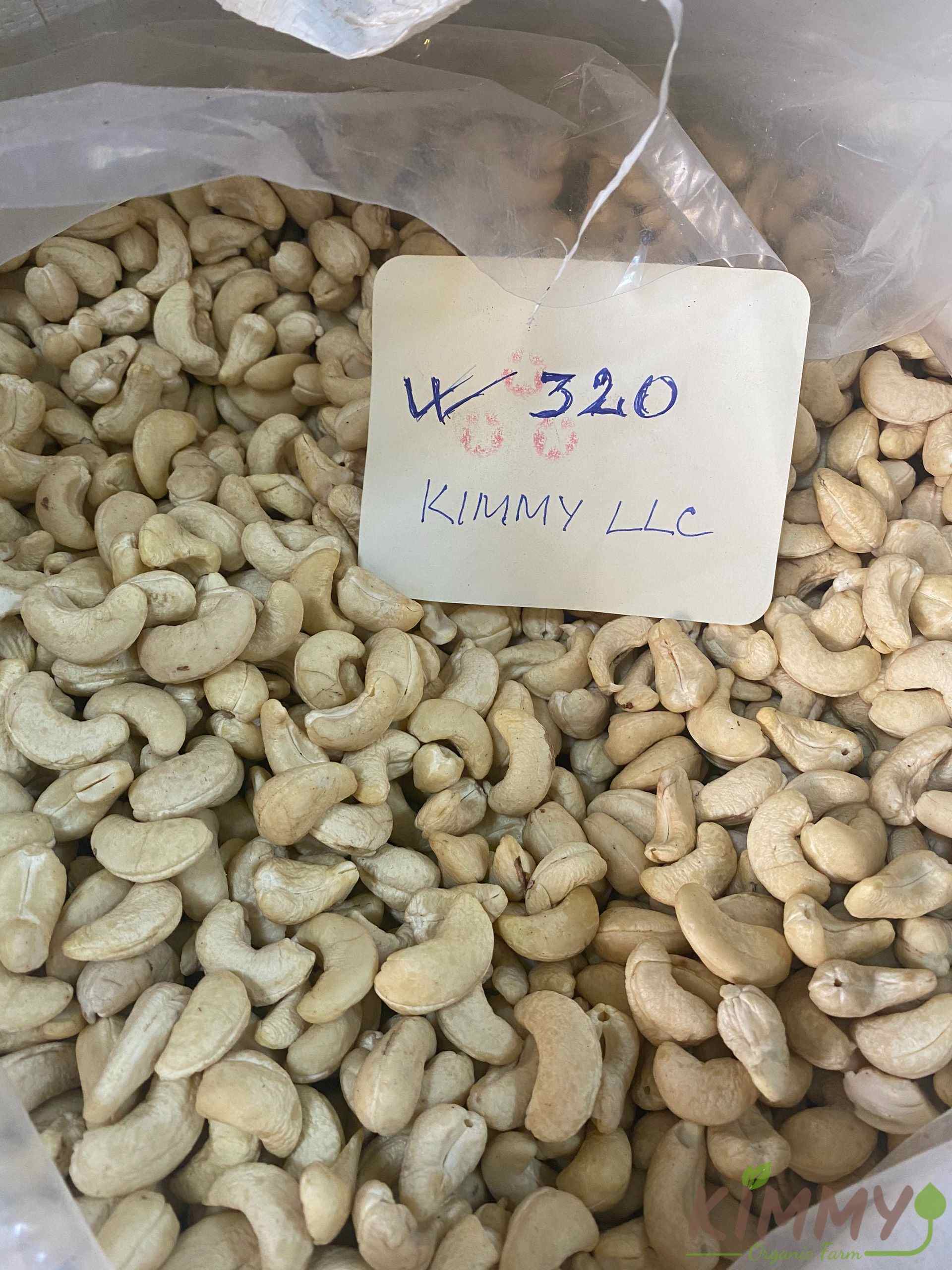 Vietnam W320 Cashew Nut White Whole Cashews High-Quality Ready For Export - Raw image of W320 From Our Cashew Factory!-16