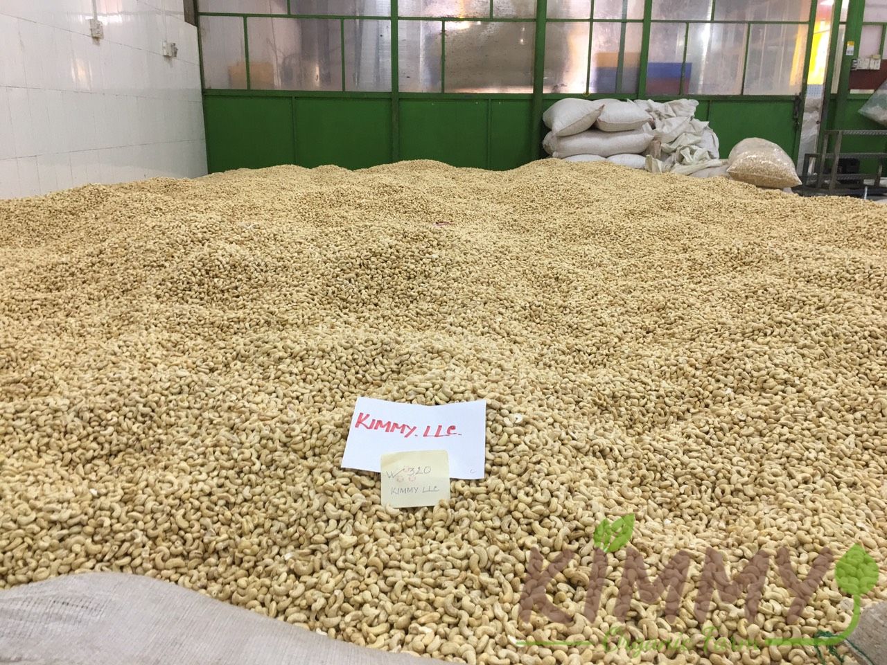 Vietnam W320 Cashew Nut White Whole Cashews High-Quality Ready For Export - Raw image of W320 From Our Cashew Factory!-6