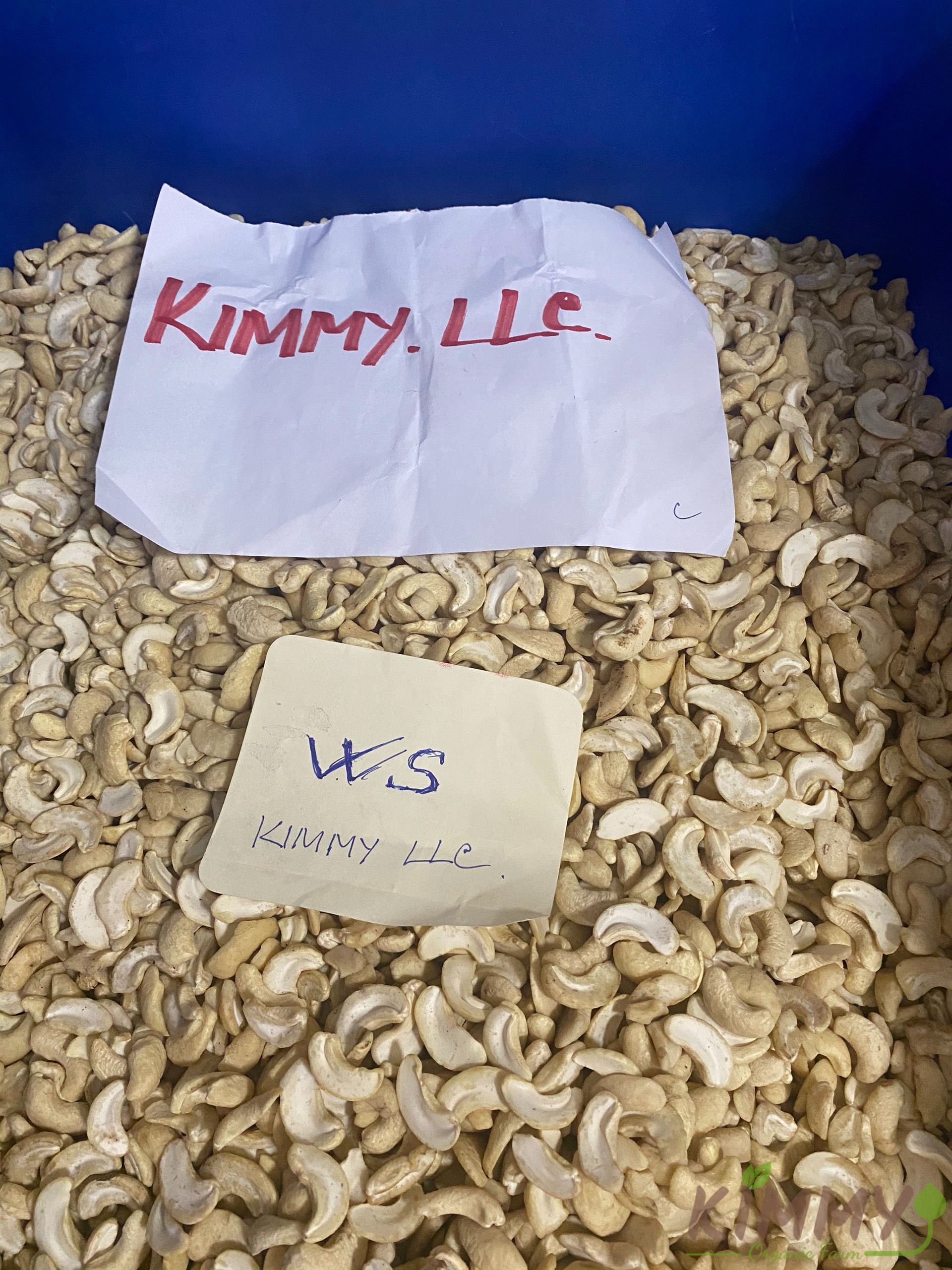 Vietnam White Splits Cashew Nuts WS Grade High-Quality Ready For Export - Raw image of WS From Our Cashew Factory!-8