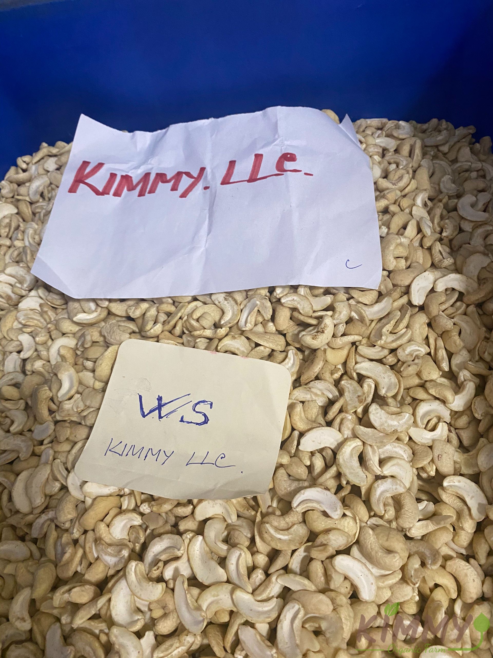Vietnam White Splits Cashew Nuts WS Grade High-Quality Ready For Export - Raw image of WS From Our Cashew Factory!-9