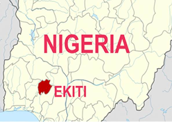 Các Cty Âu Có Kế Hoạch Sản Xuất Hạt Điều ở Ekiti, Nigeria
