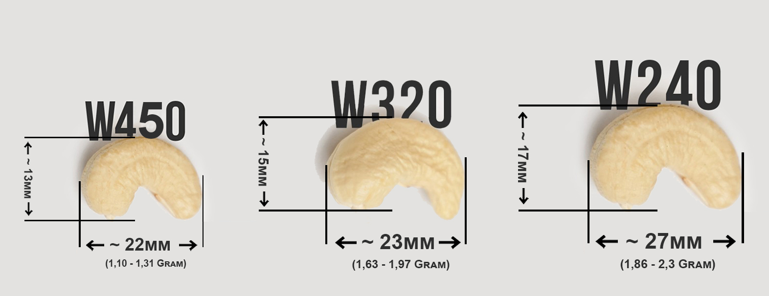 Bảng Size Hạt Điều giữa: Hạt điều W450 – Hạt điều W320 – Hạt điều W240 – Kimmy Farm Vietnam