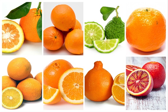 So sánh lượng Vitamin C trong thực phẩm GIỮA sấy thăng hoa và sấy nhiệt