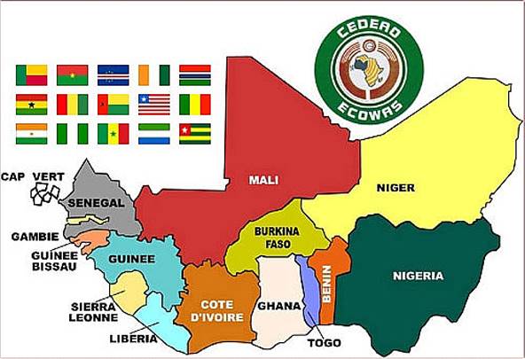 Westafrikanische Länder sind weltweit führend in der Cashew-Produktion und machen mehr als 45 % der rohen Cashews der Welt aus.