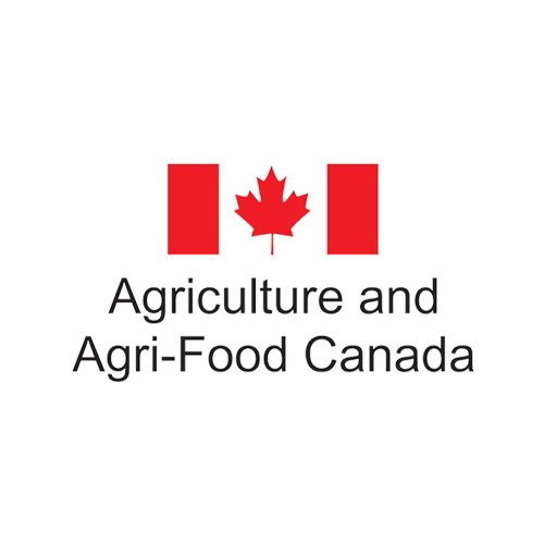 Khoản Hỗ Trợ 6 triệu USD Của Bộ Nông nghiệp Canada Dành Cho Nông Nghiệp Xanh Từ Việc Nuôi Ruồi Lính Đen
