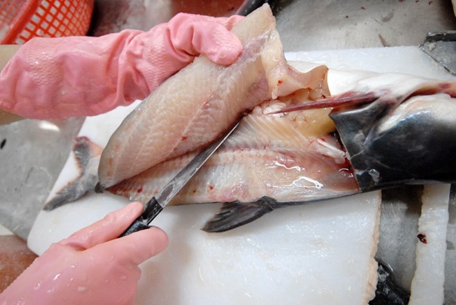 Xương cá tra thường là phần phế phẩm cá sau khi chế biến cá tra.