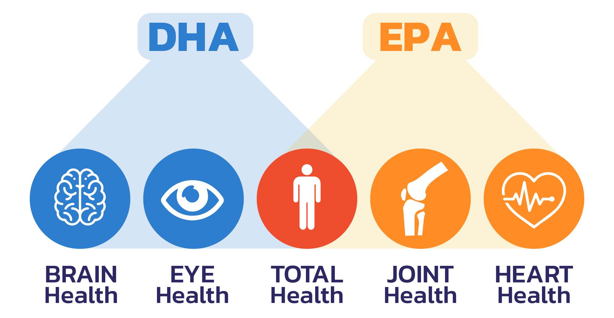 DHA in Pangasius hilft, die Funktion der Augen und des Nervensystems bei älteren Menschen zu verbessern.