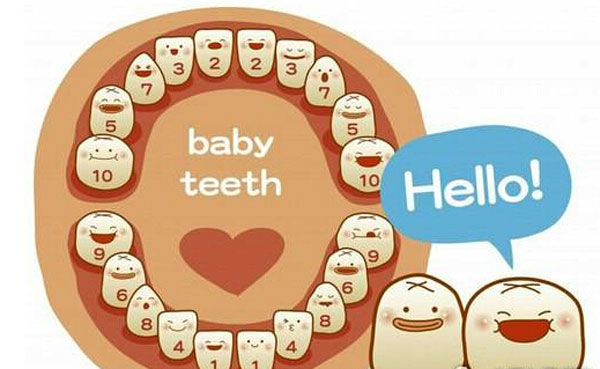 Hạt điều rất giàu Canxi và Phốt pho, là nguồn cung cấp phốt pho cần thiết cho sự phát triển khỏe mạnh của răng của bé