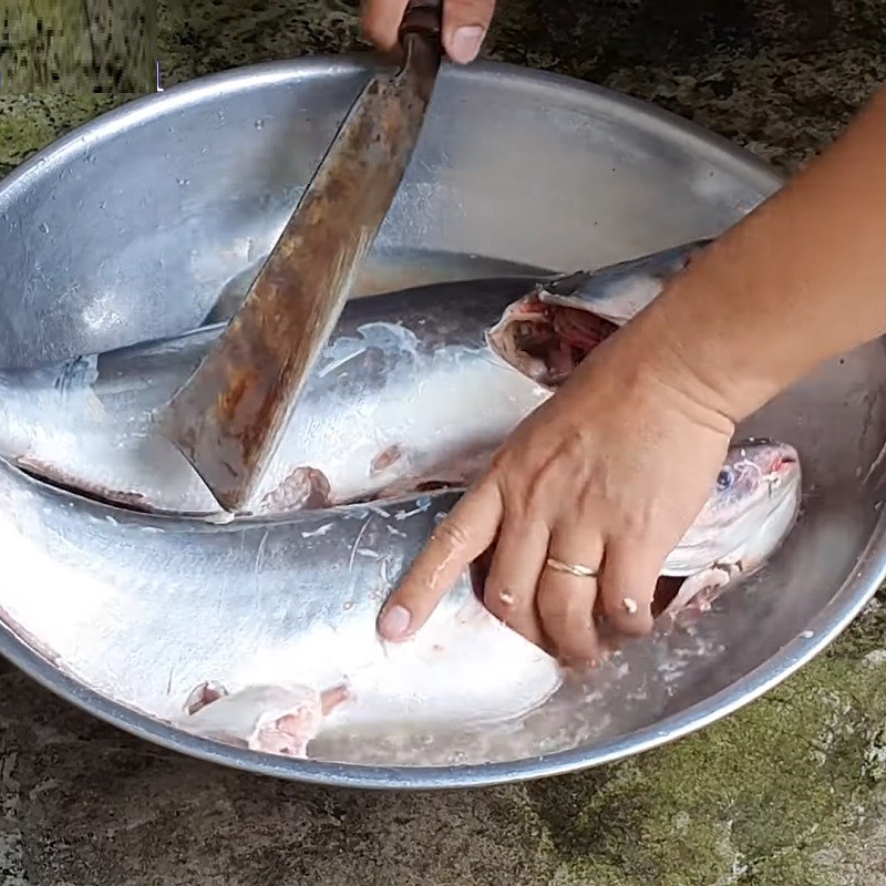 Fischhaut, Kiemen säubern und Fisch waschen - Kimmyfarm Viet Nam