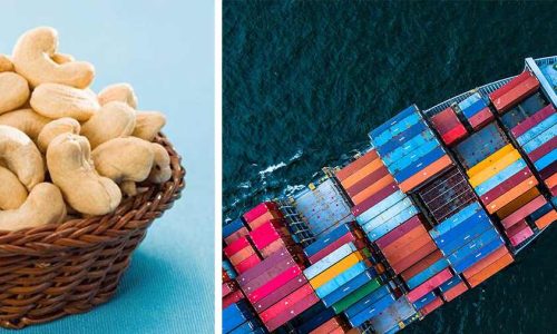 Exporting cashew nut kernels from Vietnam is 0% export tax as regulated by decree 125 of the Government and the price of cashew nuts is among the lowest.