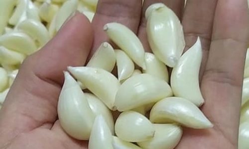 How To Store Garlic After Peeling