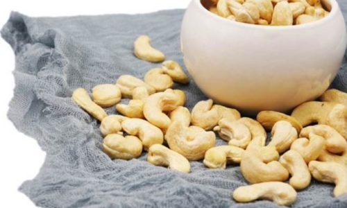 cashew's kimmy farm